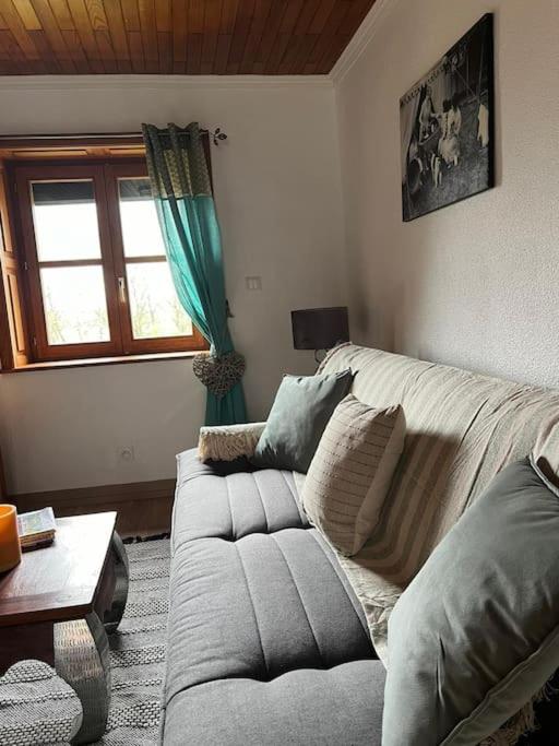Ray-sur-Saone Maison Ray Sur Saone מראה חיצוני תמונה